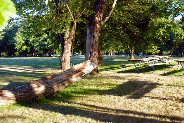 Lake Sammamish State Park