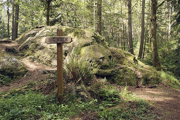 Big Rock Park in Sammamish.