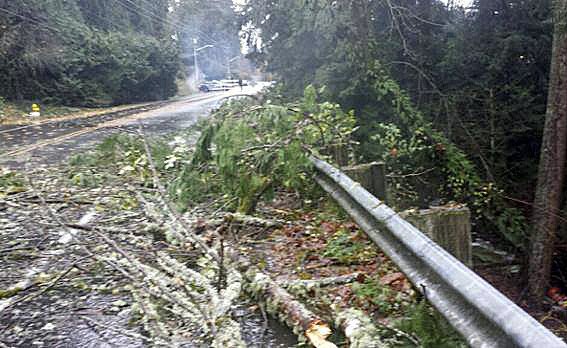 A pair of downed trees reduced Louis Thompson Hill Road Avenue Northeast to one lane after rain washed out the shoulder Sunday morning.