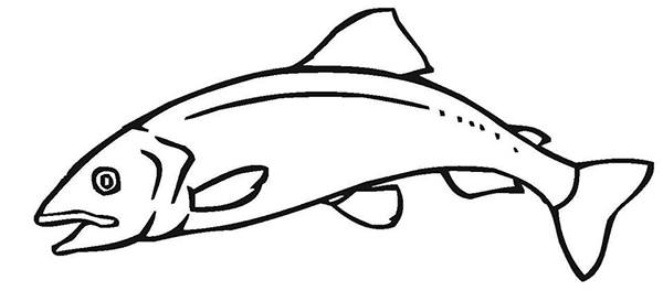 An example of the salmon that will be on the mural.