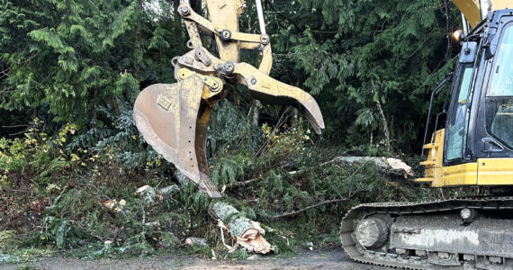 Crews clear trees from State Route 18, which the Washington State Patrol closed in both directions Wednesday, Nov. 20, from Issaquah Hobart to I-90 over Tiger Mountain because of fallen trees during a windstorm. COURTESY PHOTO, Washington State Patrol